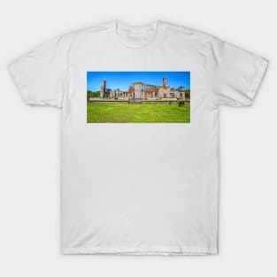 Cumberland Island National Seashore T-Shirt